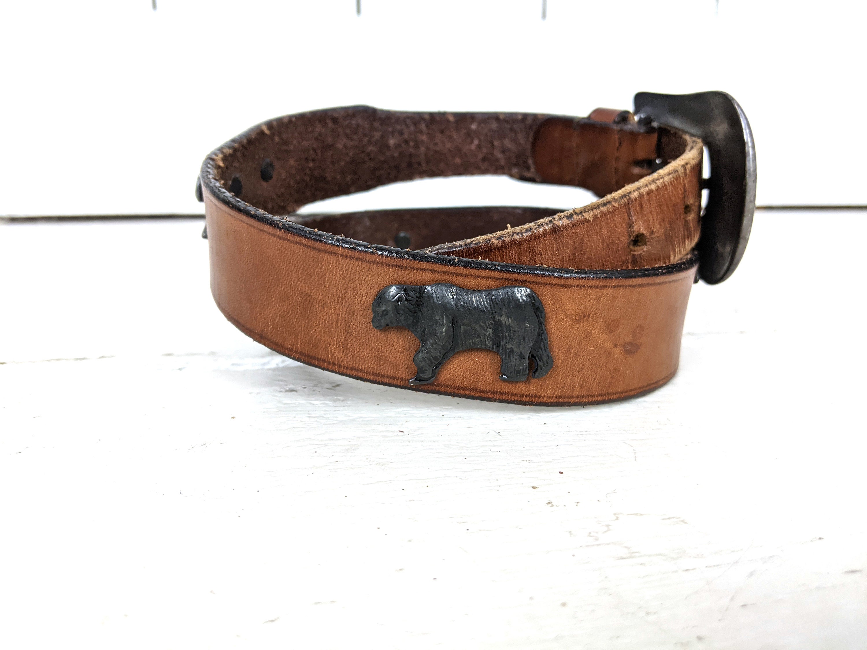 Vintage Chicos brown leather African Safari animal belt Luxury Belt SAFARI | Brown Exotic Leather | SILVER OSTRICH main image 2
