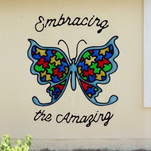 Autism  Clings-Butterfly, LOVE, butterfly circle  puzzle-window cling, sun catcher, faux stained glass, decal