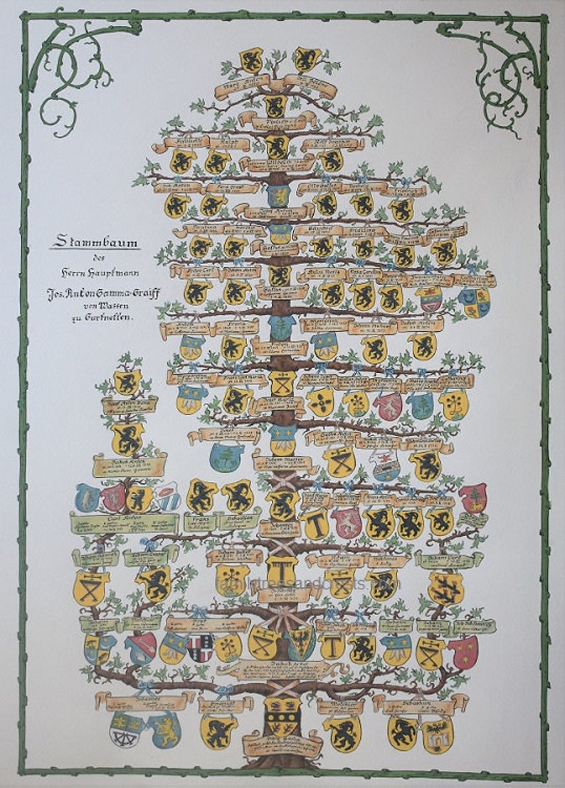 Family Tree Coat of Arms Shields Personalized Ancestor Family Etsy