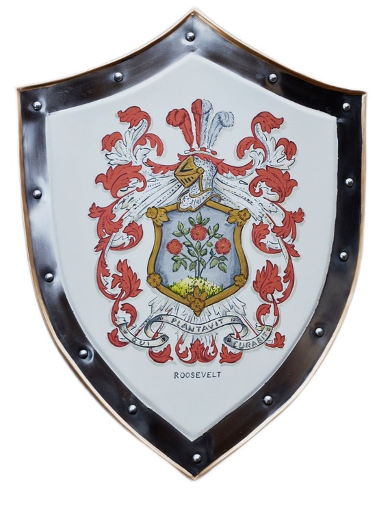 Scudo medievale Scudo da cavaliere SCA in metallo, scudo con stemma  personalizzato Idee regalo medievali esclusive -  Italia