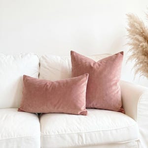 May include: Two dusty rose velvet throw pillows, one square and one rectangular, resting on a white sofa. The pillows feature a soft, matte texture and a solid color finish, providing a simple and clean look against the white upholstery.