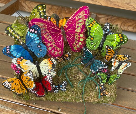 Ring bearer butterfly rectangle