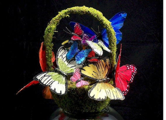 Basket Full of Butterflies