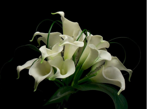 Bridal Calla Lilly Elegant Bridal Bouquet