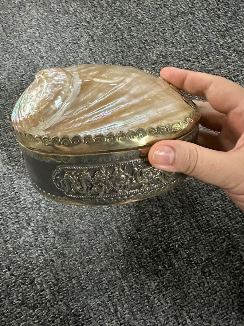 Handmade Abalone Shell Jewelry Box, Vintage Seashell Trinket Box ...