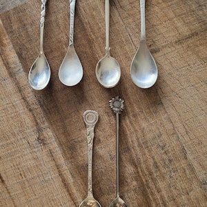 May include: A collection of six silver-toned metal spoons arranged in two rows. Each spoon features a unique floral motif on the handle, including roses and sunflowers. Two of the handles have text engraved on them, reading ROOS and ZONNEBLOEM.