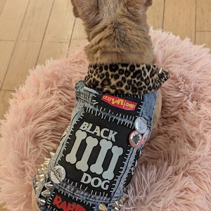 May include: A small, light brown dog wearing a denim vest with patches and studs. The vest has the words "Black Dog" and "Rabid" on it. The dog is sitting on a pink fluffy bed.