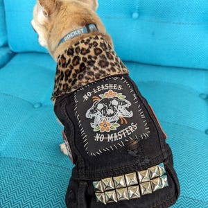 May include: A small, light brown dog wearing a black denim vest with a skull and crossbones design and the text "No Leashes No Masters". The vest has silver studs and a leopard print collar.