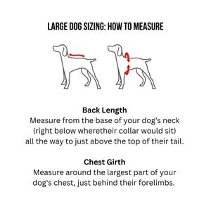 Custom, Denim, Punk Rock Battle Jacket for Dogs with Dog Themed Patches and Studs image 10