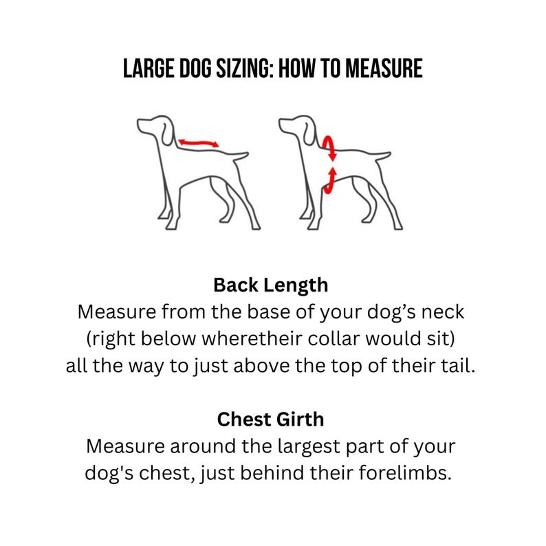 Custom, Denim, Punk Rock Battle Jacket for Dogs with Dog Themed Patches and Studs image 10