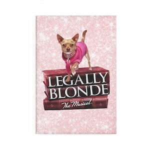 Magnes na trasę koncertową Legally Blonde