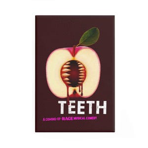 Ímã de dentes