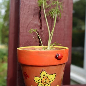 May include: A small, hand-painted terracotta flower pot with a daffodil design. The pot is orange and brown, with a ladybug accent. A small green plant sprouts from the soil inside the pot. The pot is sitting on a wooden surface.