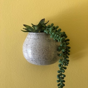 Ceramic Wall Pot  Wall Planter for Succulents, Air Plant, Herbs or Propagation