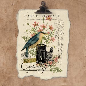 Artisan Bird And Camera Handmade Paper Print.