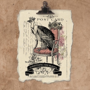 May include: A vintage postcard with a black and white illustration of a crowned vulture sitting on a pink and gold chair. The postcard has the text "POST CARD" and "EVERYTHING HAS BEAUTY. BUT NOT EVERYONE SEES IT."