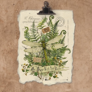 Artisan Brave Dragonfly Handmade Paper Print.