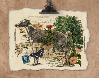 Artisan Greyhound Handmade Paper Print.