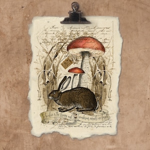 Artisan Woodland Rabbit Handmade Paper Print