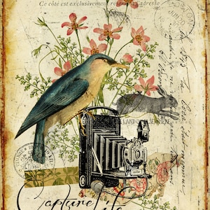 Artisan Capture Life 44X60 Canvas Wall Tapestry