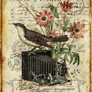 Artisan Birds and Camera 44X60 Canvas Wall Tapestry.