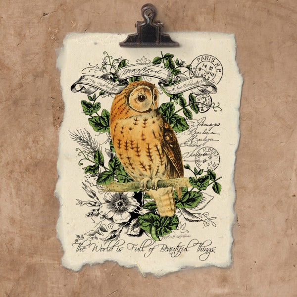 Artisan Yellow Owl Handmade Paper Print.