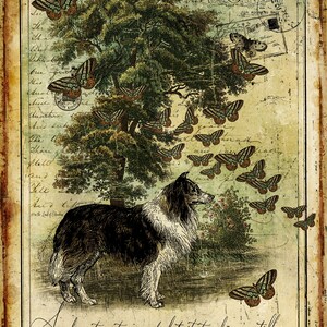Artisan Collie 44X60 Canvas Wall Tapestry.