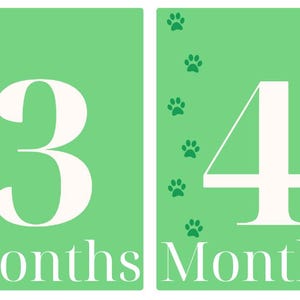 Cartes d'étape importante pour animaux de compagnie
