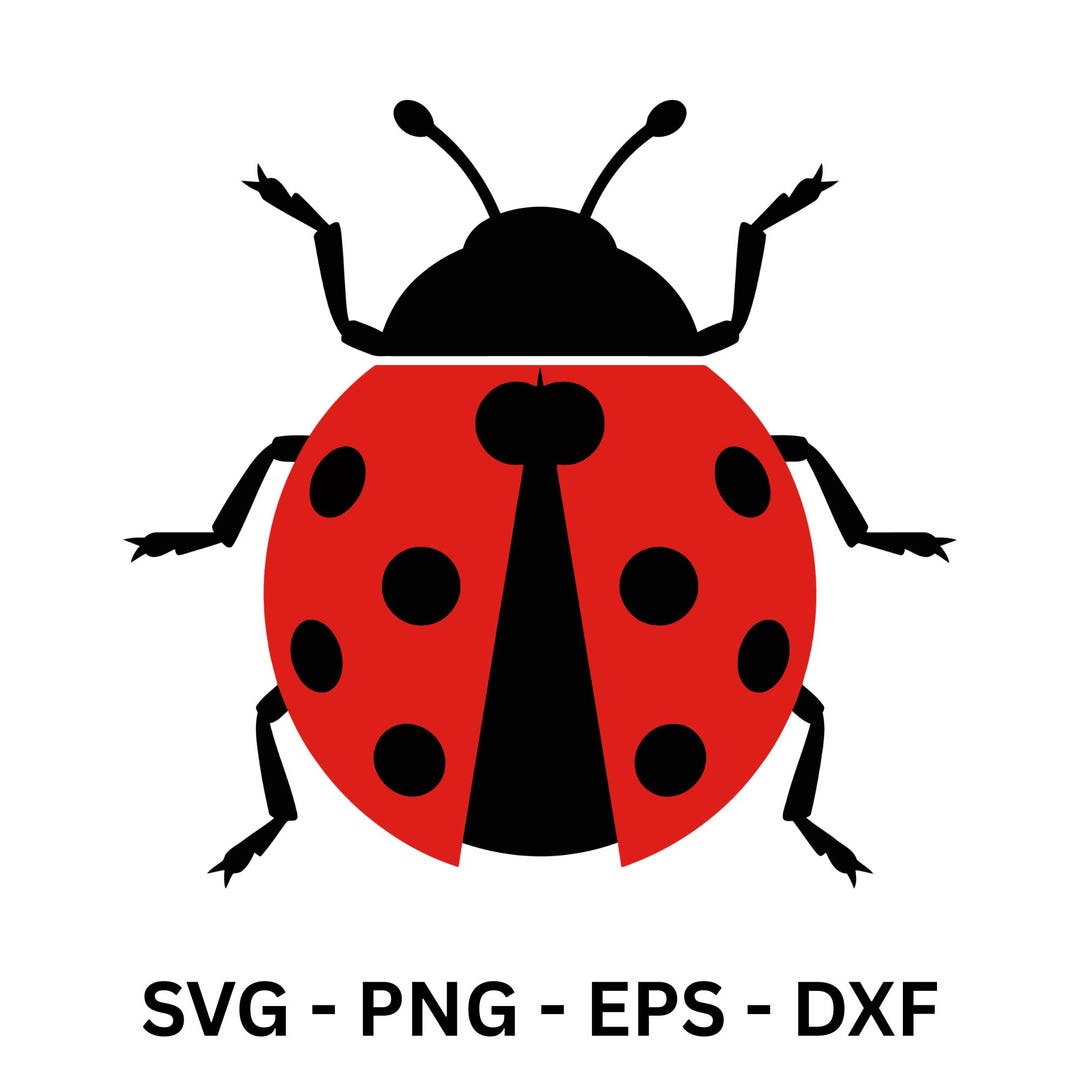 Ladybug Svg, Layered Ladybug Svg, Ladybug Clipart, Cut File, Lady Bug ...