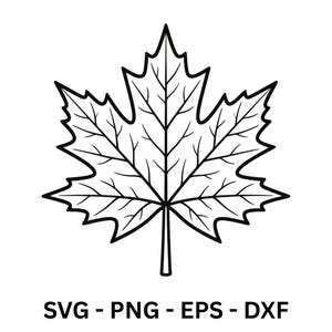 Könnte beinhalten: Eine schwarz-weiße Strichzeichnung eines Ahornblattes. Das Blatt hat eine detaillierte Aderstruktur und einen gezackten Rand. Unter dem Blatt steht der Text "SVG - PNG - EPS - DXF".