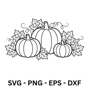 Könnte beinhalten: Schwarz-Weiß-Illustration von drei Kürbissen mit Blättern und Ranken. Die Kürbisse sind unterschiedlich groß. Der Text "SVG - PNG - EPS - DXF" befindet sich am unteren Bildrand.