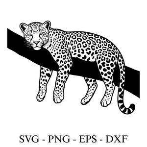 May include: Black and white illustration of a leopard resting on a tree branch. The leopard has a spotted coat and is lying down. The image includes the text "SVG - PNG - EPS - DXF".