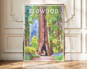 Redwood National Park Print | Tall Tree Forest Wall Art | National Park Poster | Digital Download | Printable Artwork