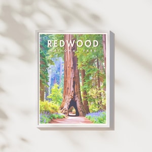 Redwood National Park Print | Tall Tree Forest Wall Art | National Park Poster | Digital Download | Printable Artwork