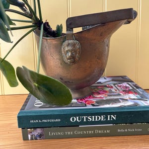 May include: A copper-coloured planter with a lion's head emblem and a hinged handle, containing a green plant. The planter rests on two books, one titled "OUTSIDE IN".