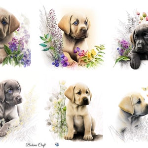 Rijstpapier voor decoupage, labradors, scrapbooking, tijdschriften, verschillende maten en papiersoorten beschikbaar.