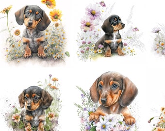 Dachshund Collage Sheet, Watercolor Puppies with Flowers (A4/A5)