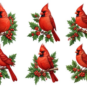 Papier de riz oiseau cardinal rouge pour découpage, travaux manuels en papier décoratifs, scrapbooking, journaux indésirables, fabrication de cartes