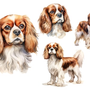 König Charles Cavalier Hund Reispapier für Decoupage, dekoratives Papierhandwerk, Scrapbooking, Kartenherstellung, Journals
