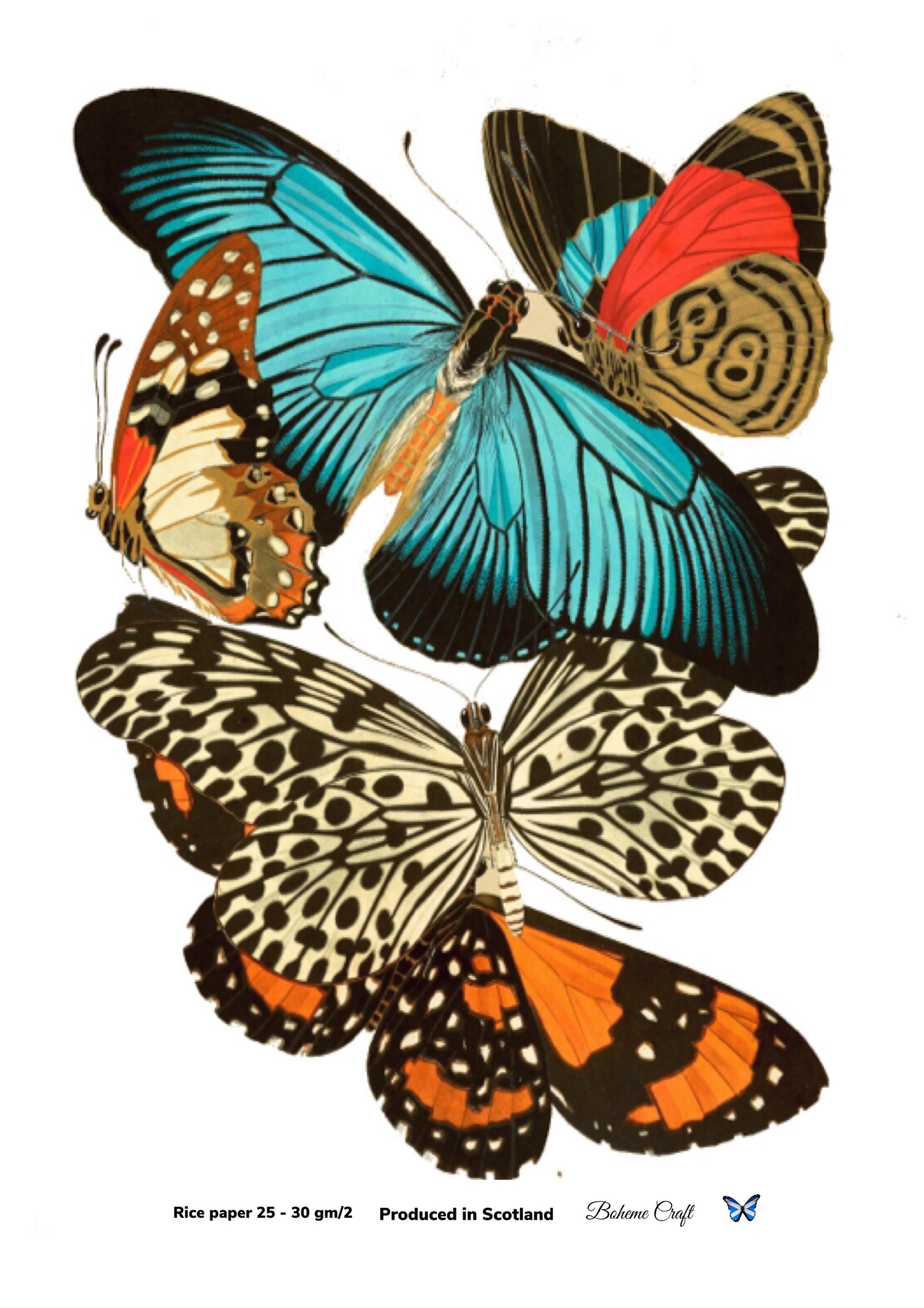 A4 Butterfly Rice Paper Sheet for Decoupage Butterflies Etsy