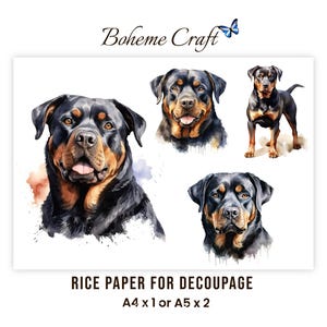 May include: A sheet of rice paper for decoupage featuring watercolor illustrations of Rottweiler dogs. The text Boheme Craft with a blue butterfly icon appears at the top, and the text RICE PAPER FOR DECOUPAGE A4 x 1 or A5 x 2 at the bottom.