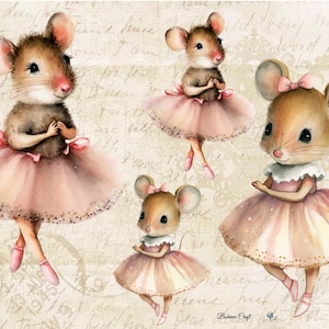 Carta di riso per decoupage, topi ballerina, tessuto di gelso, diario di scrapbooking, stampa artistica