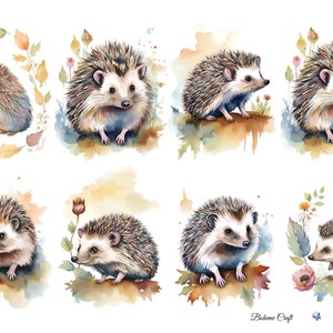 K&ouml;nnte beinhalten: Eine Sammlung von acht Aquarellillustrationen mit Igeln in verschiedenen Posen, umgeben von herbstlich gef&auml;rbtem Laub und floralen Akzenten. Das Kunstwerk zeigt Braun-, Beige- und Cremet&ouml;ne mit k&uuml;nstlerischen Farbspritzern. Text Boheme Craft.