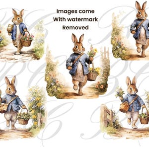 Printable Country Rabbit PNG Clip Art Images for Decoupage, Junk ...
