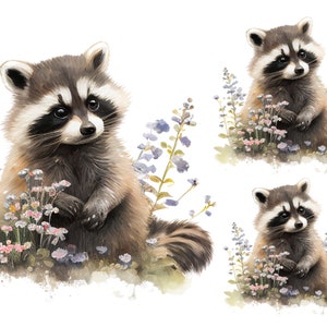 Rice Raccoon - Etsy