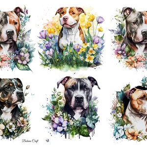 May include: A collection of six watercolour illustrations featuring Pitbull dogs surrounded by vibrant floral arrangements. Each portrait showcases a different dog with unique coat patterns, including brown, white, and black, accented by colourful flowers and green foliage. The text "Boheme Craft" is visible at the bottom.