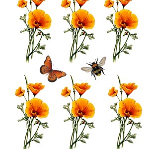 Floral Rice Paper for Decoupage: Poppies, Butterfly, Bee (A4) - Etsy