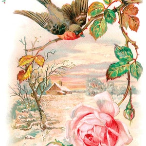 Bird And Roses Rice Paper for Decoupage, Scrapbooking Ephemera. decorative Paper Crafts, Furniture Decor, Card Making, Journals