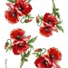 Rice Paper for Decoupage, Red Poppy Flower Collage, Furniture DIY, Card ...