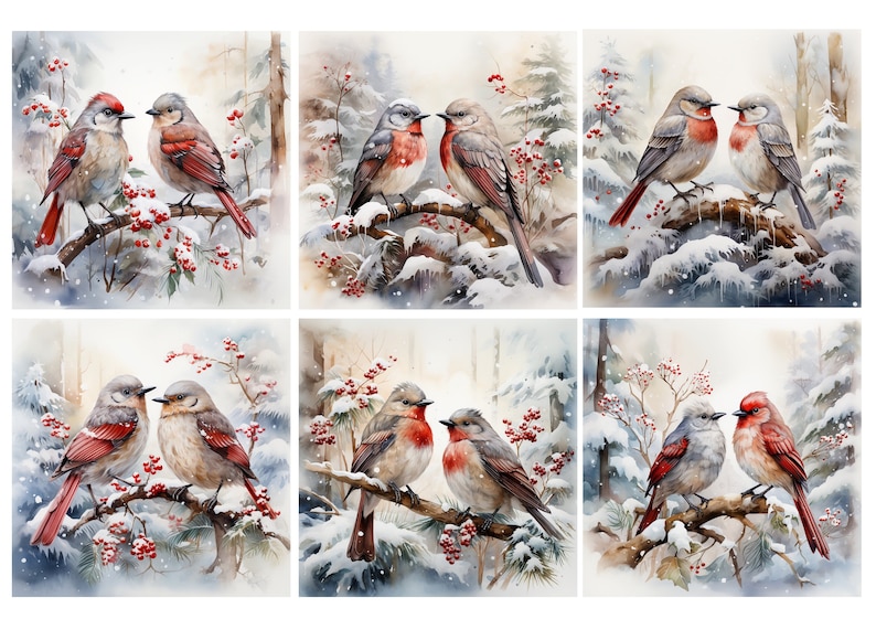 May include: A set of six watercolor illustrations featuring pairs of small birds perched on snow-covered branches with red berries. The scenes depict various winter forest settings with soft white, gray, and brown tones, highlighting the birds' plumage and the icy, frosted environment in each individual square composition.